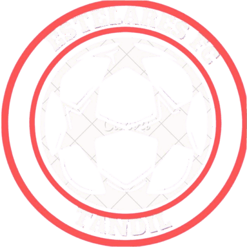 Estelares Logo